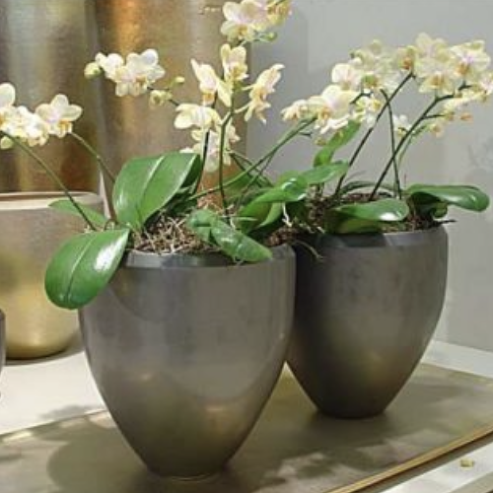 Moback ceramics